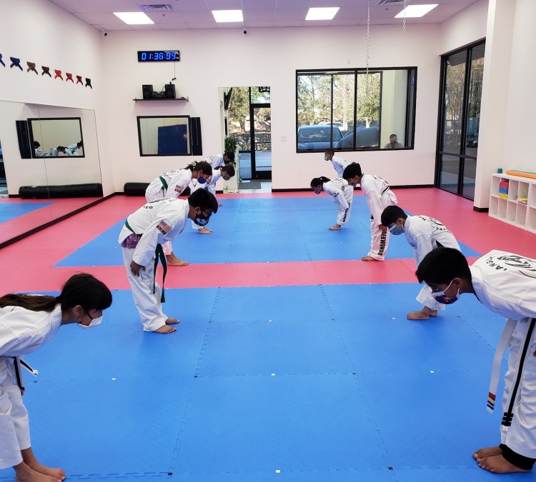 Hanguk Taekwondo (Missouri&nbspCity,&nbspTX)